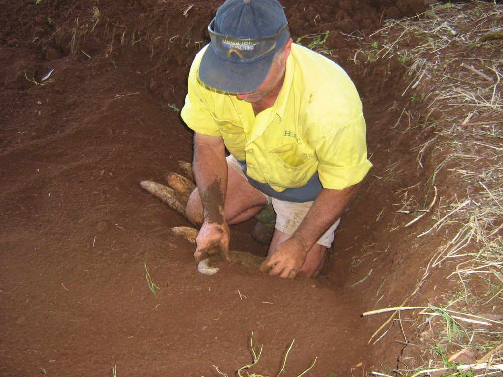 man in pit with horns